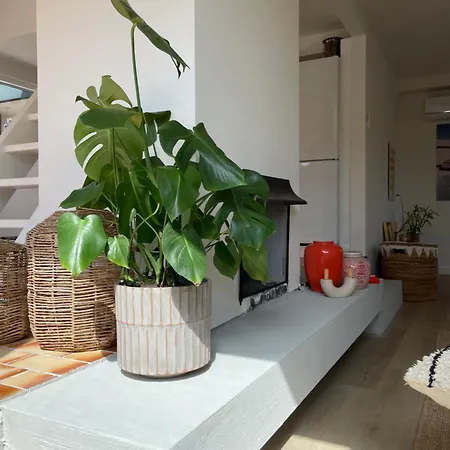 Close To And Keukenhof Дом отдыха *