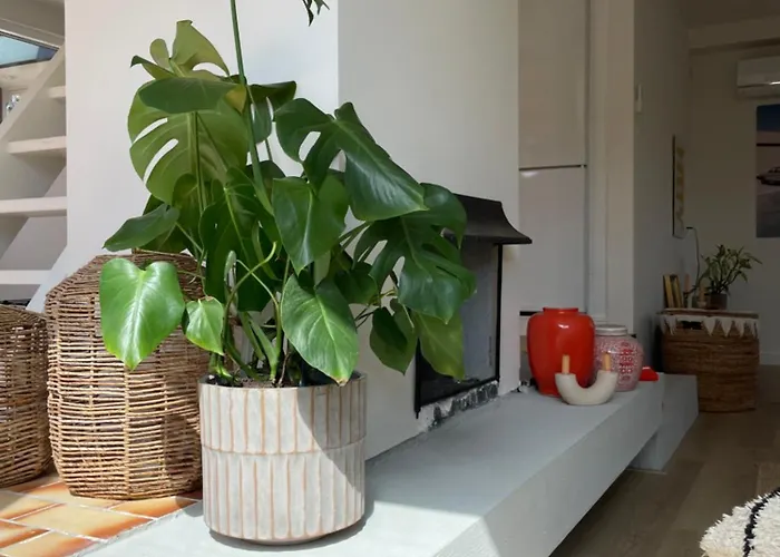 Close To And Keukenhof Semesterbostad *