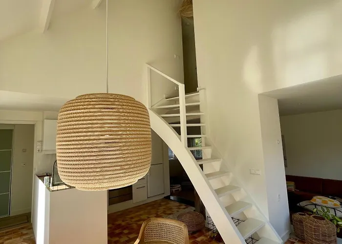 Close To And Keukenhof Noordwijkerhout